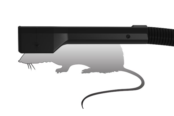 rat coilTMS2